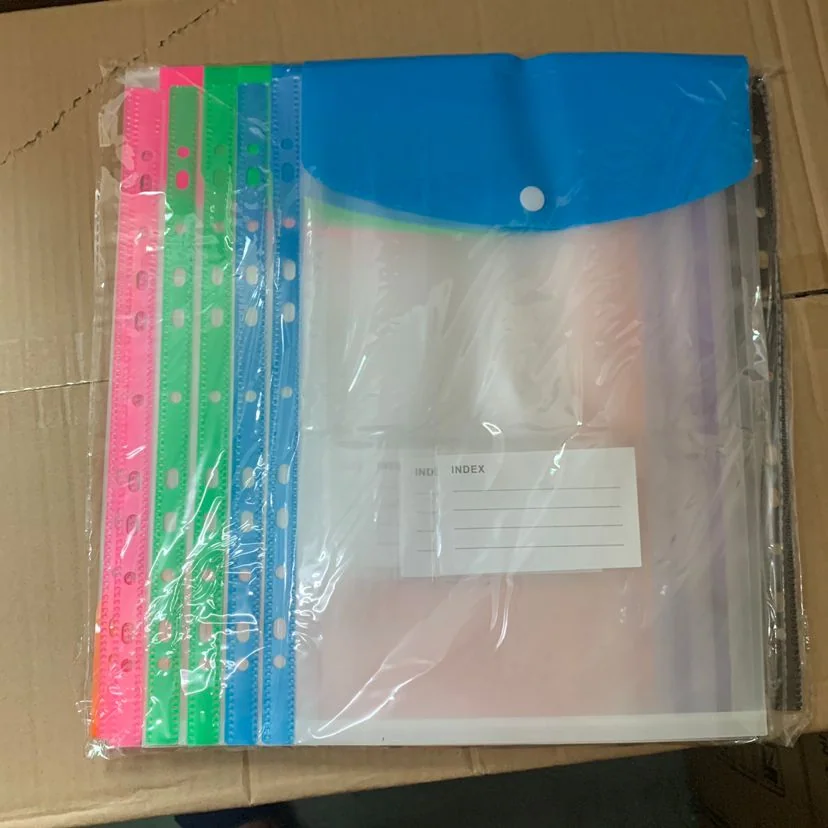 11-Hole Punched Page Protectors